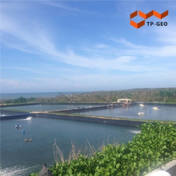 Smooth Geomembrane